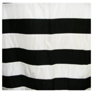 Dupioni Silk Curtains with Custom Border, Edges, Stripes - Image 2